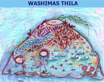 Vashimas Thila